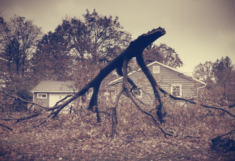 Seidel Electric's Generac generator installed for hurricane preparedness, providing reliable backup power during storms