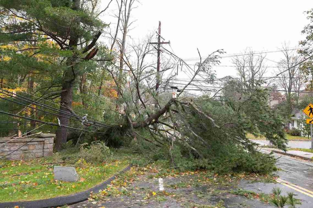 Generac generator prepared for hurricane season with expert support from Seidel Electric